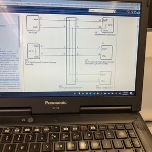 Meet your Posher, Marlo